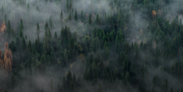 Banc de ville près d’un petit jardin avec une lumière douce